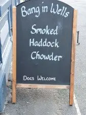 Dogs Welcome - Bang In Wells