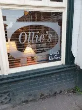 Dogs Welcome - Ollies