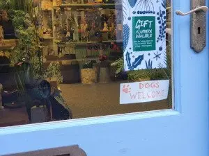 Dogs Welcome - Over The Garden Wall