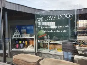 We Love Dogs - The Lookout